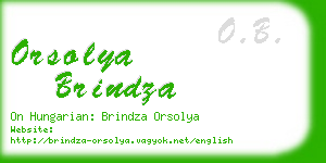 orsolya brindza business card